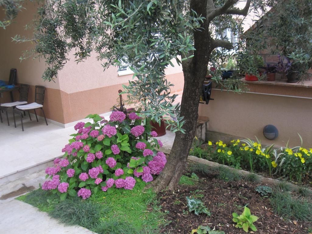 Apartments City Center Tivat Exterior foto