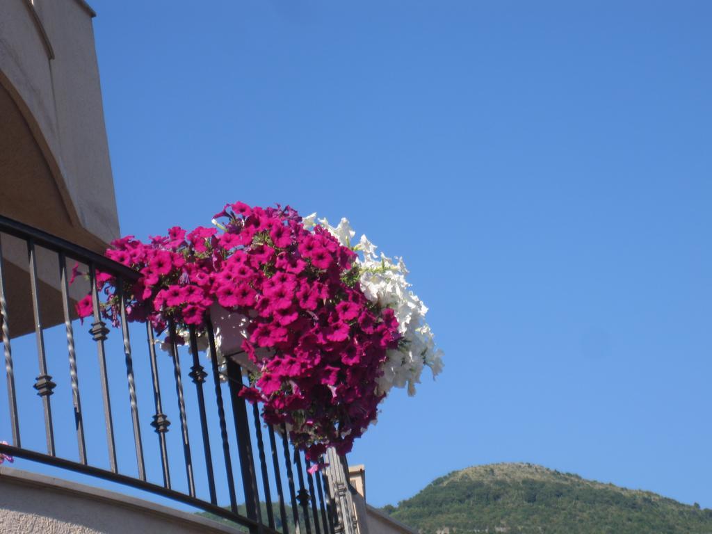Apartments City Center Tivat Exterior foto